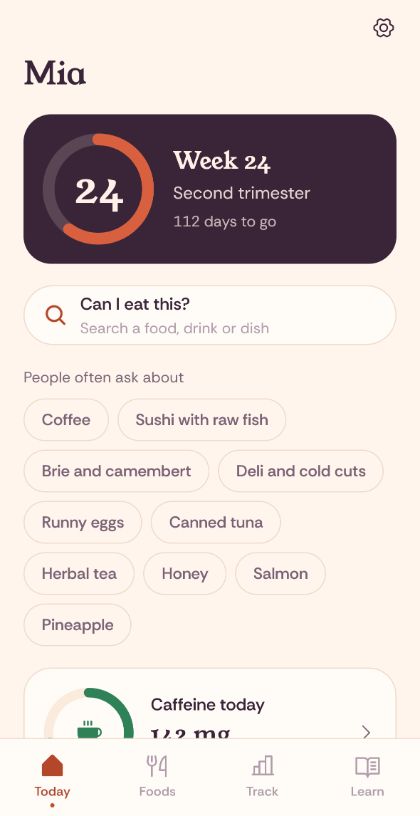 Pregnancy food guide
